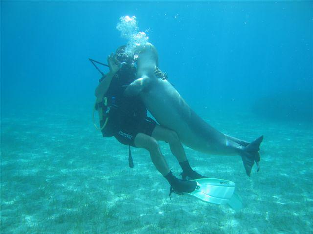 erman dive
